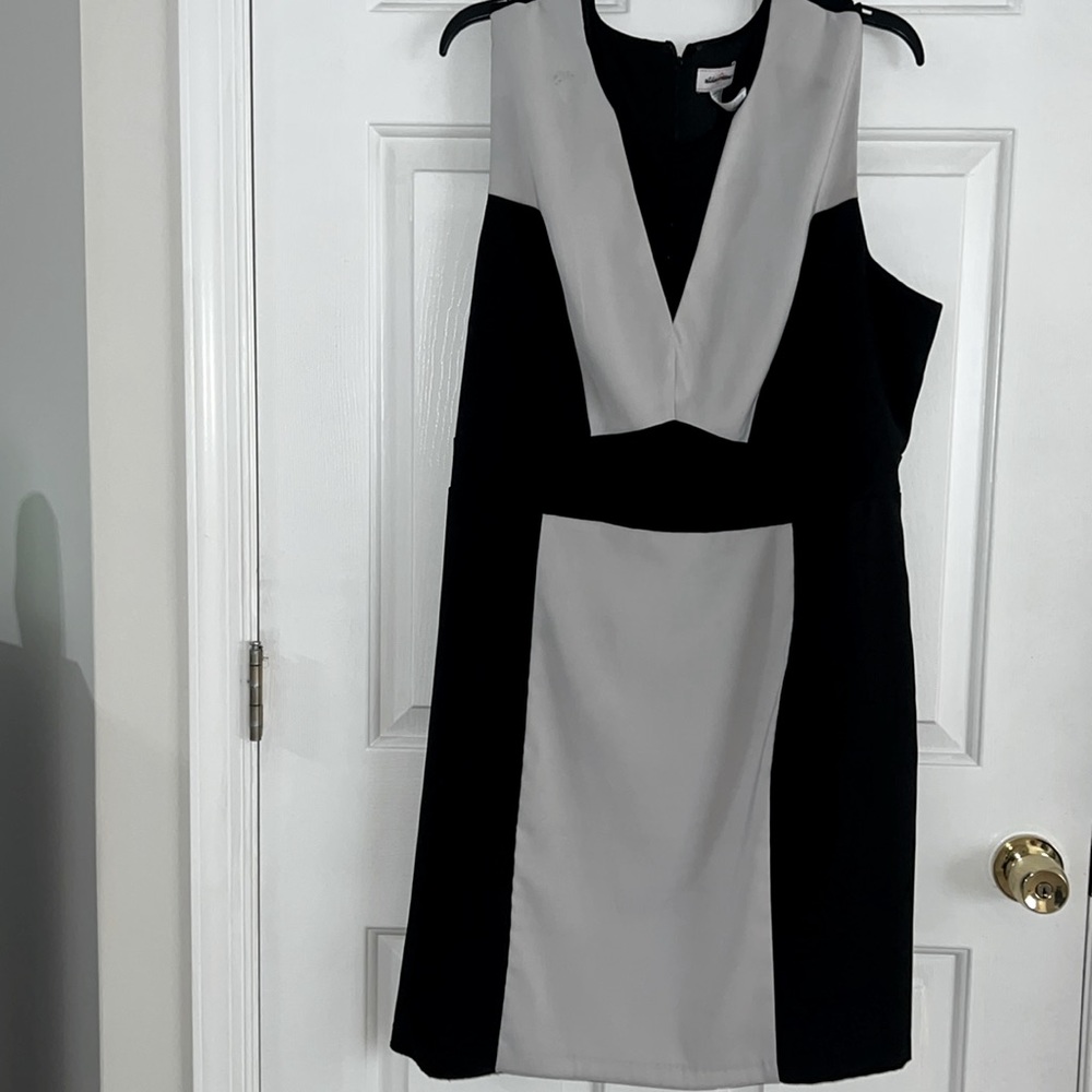Very Pretty Dress Size 2X